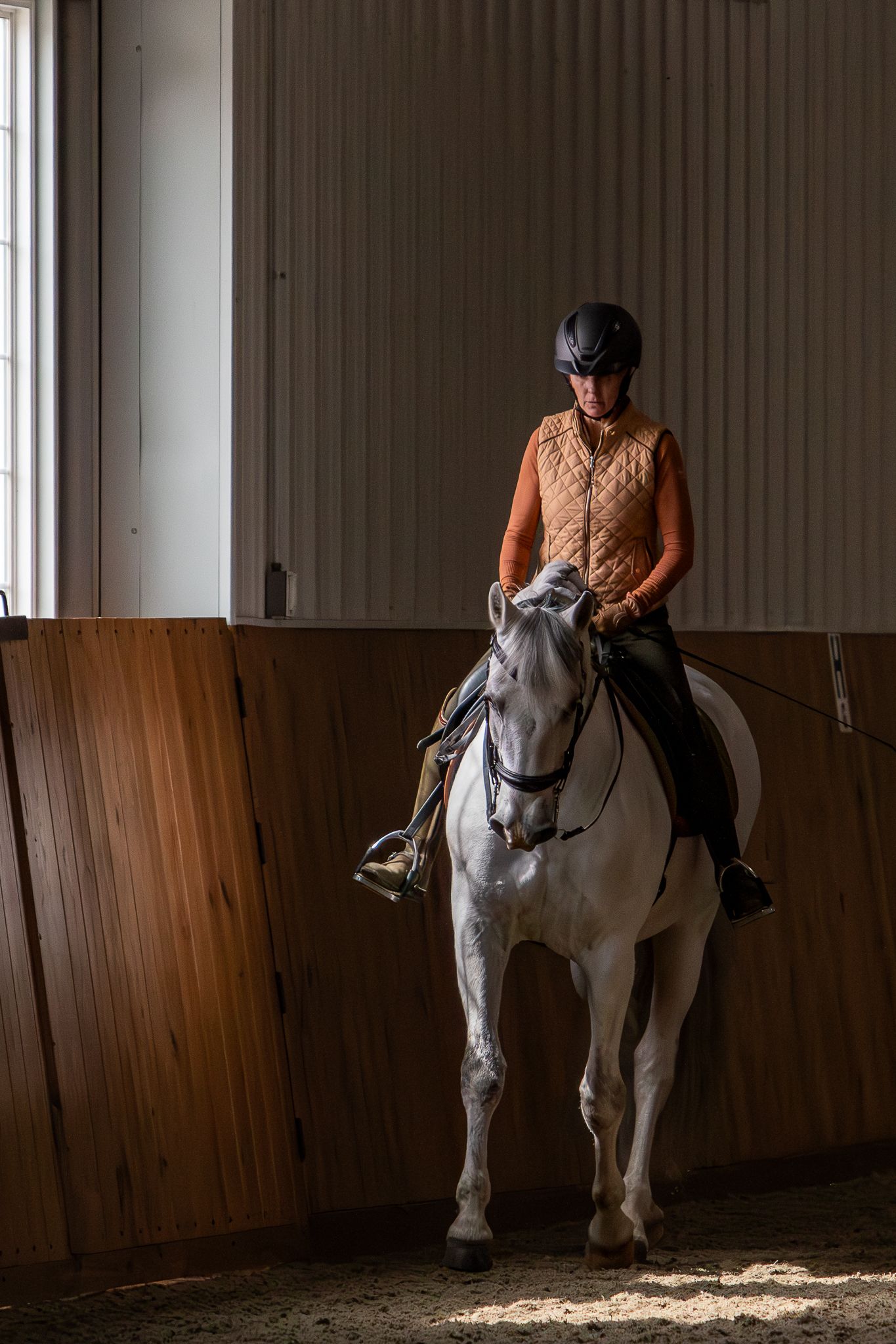 A photo of a gray horse at work under saddle.