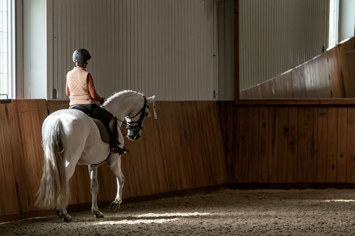 A photo of a gray horse at work under saddle.