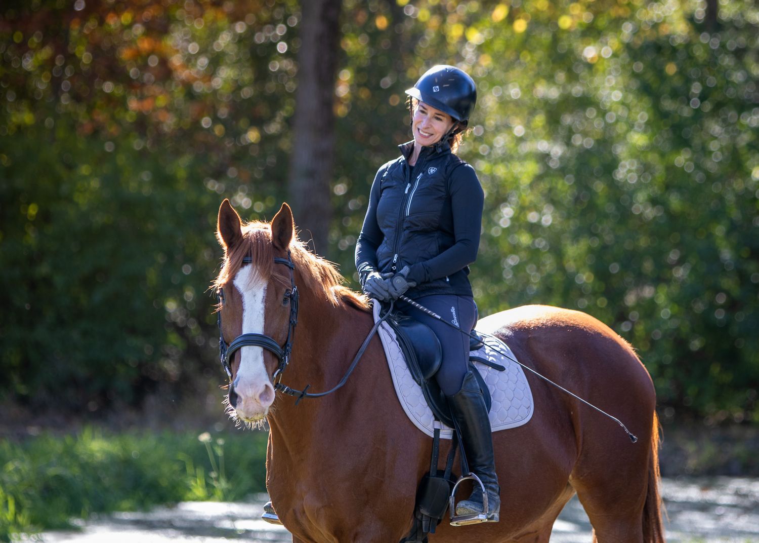 A portrait showing a chestnut horse with rider, posing with fall foliage and a pond in the background