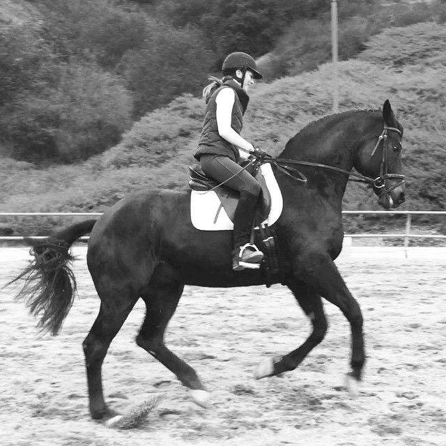 Black and white photo of a young woman riding a dark bay gelding.