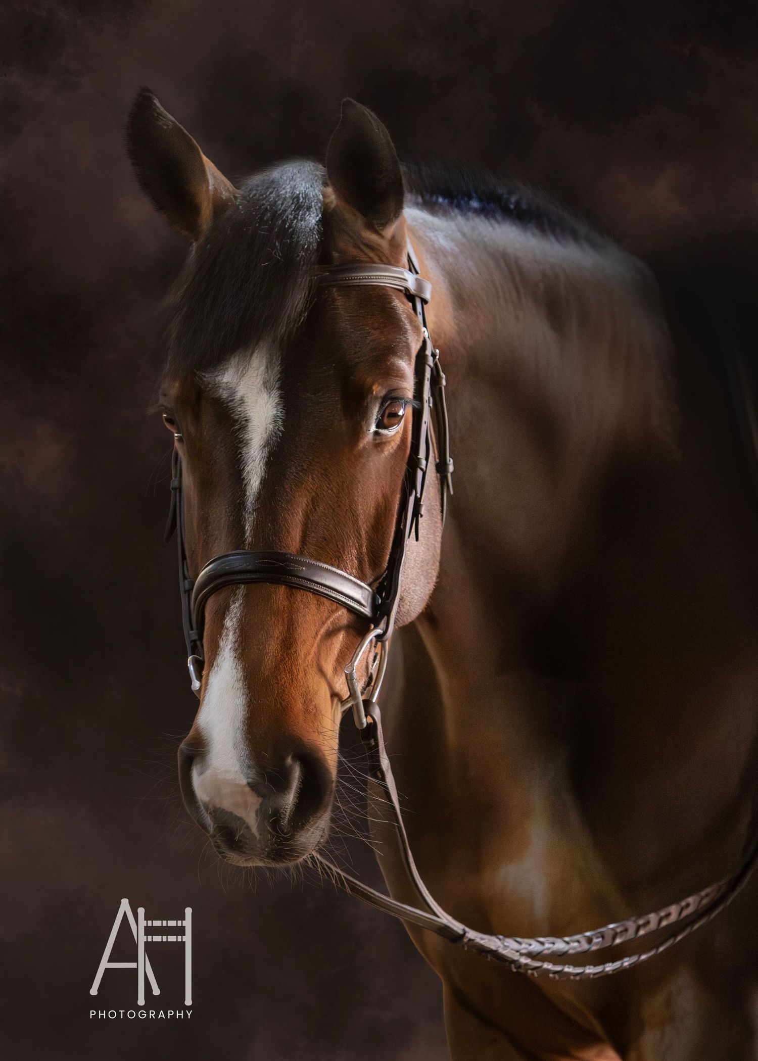 Bay mare portrait with painted background.