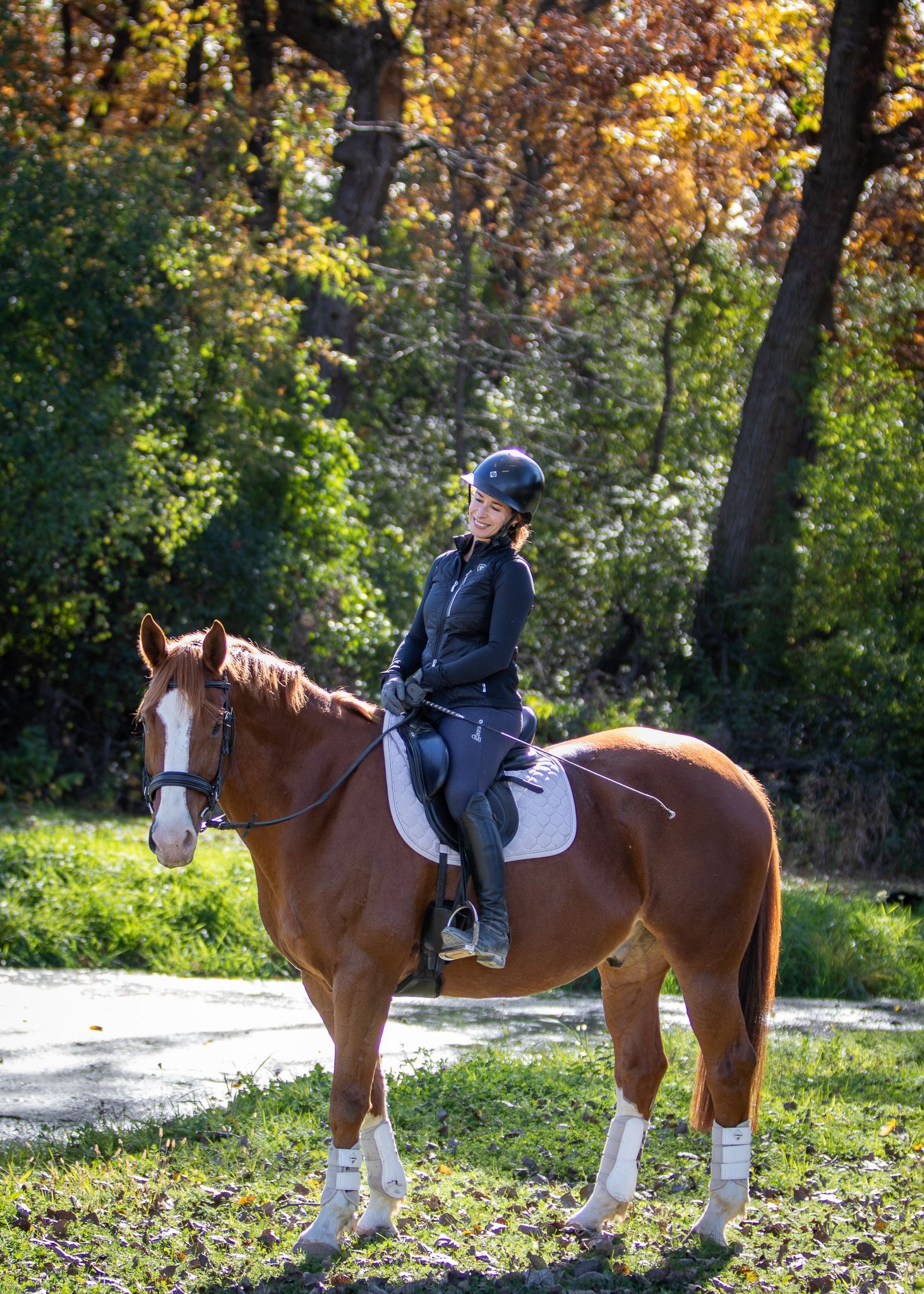 A portrait showing a chestnut horse with rider, posing with fall foliage and a pond in the background