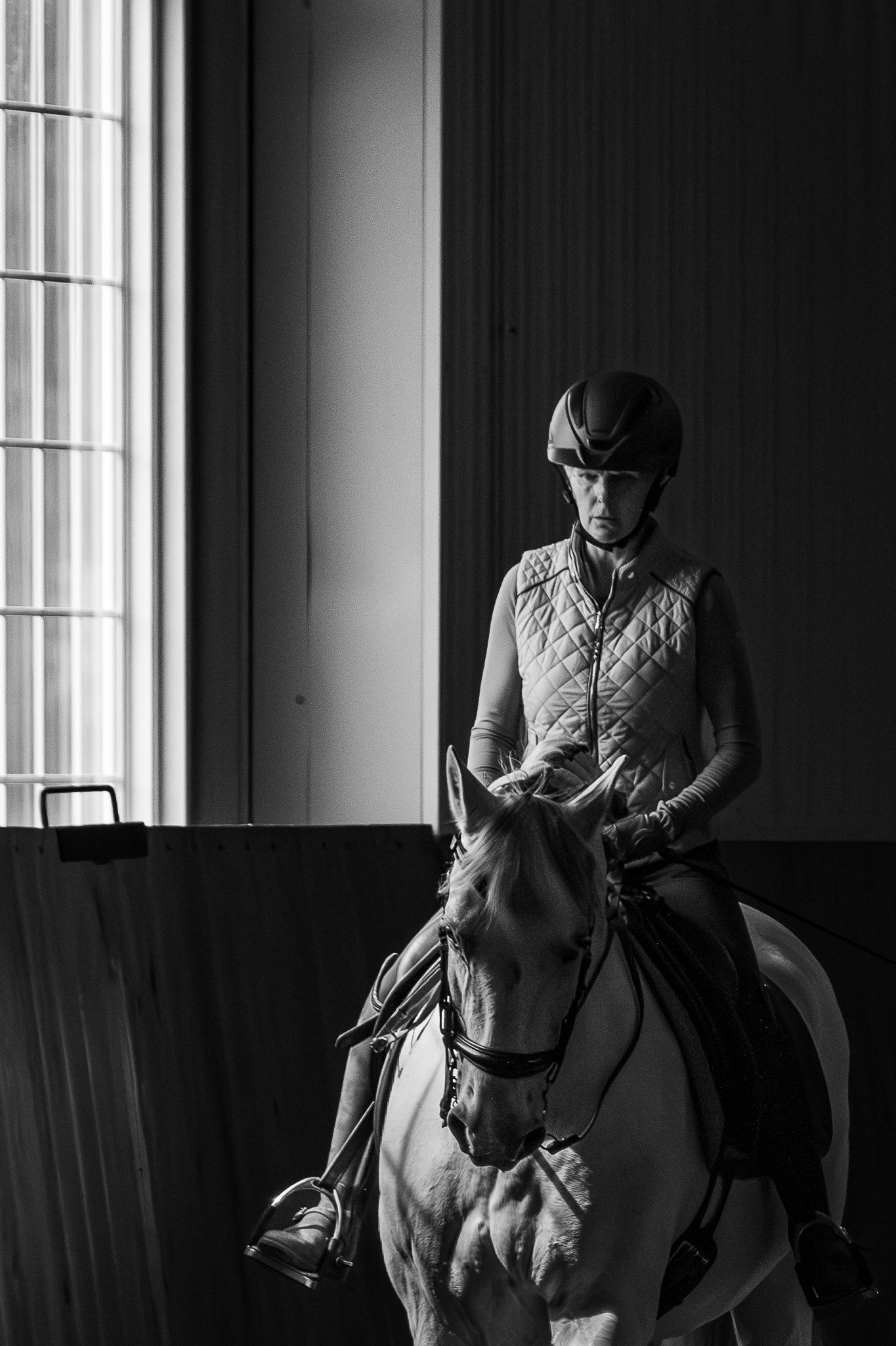 A black and white photo of a gray horse at work under saddle.