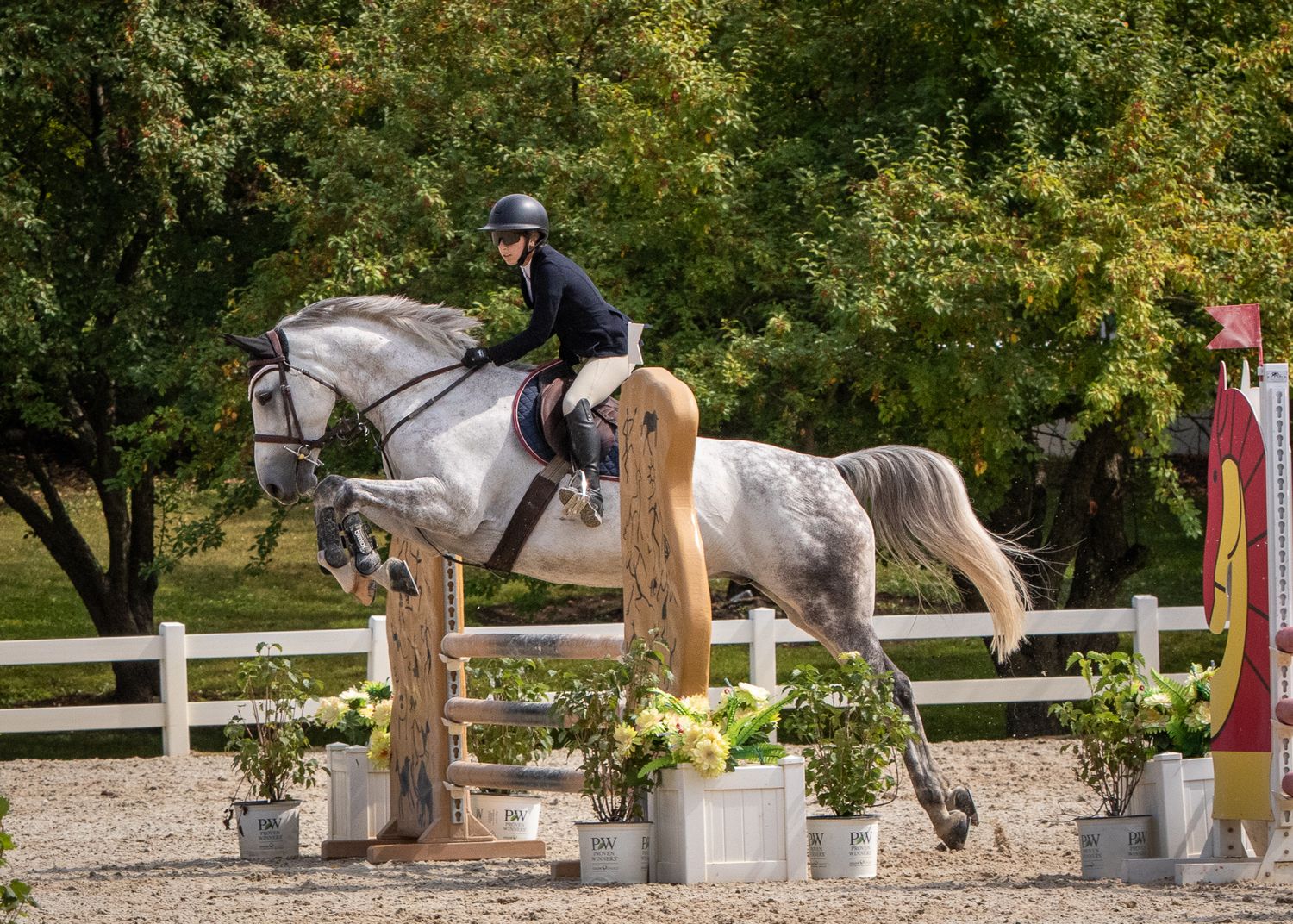 Grey horse jumping at a horse show