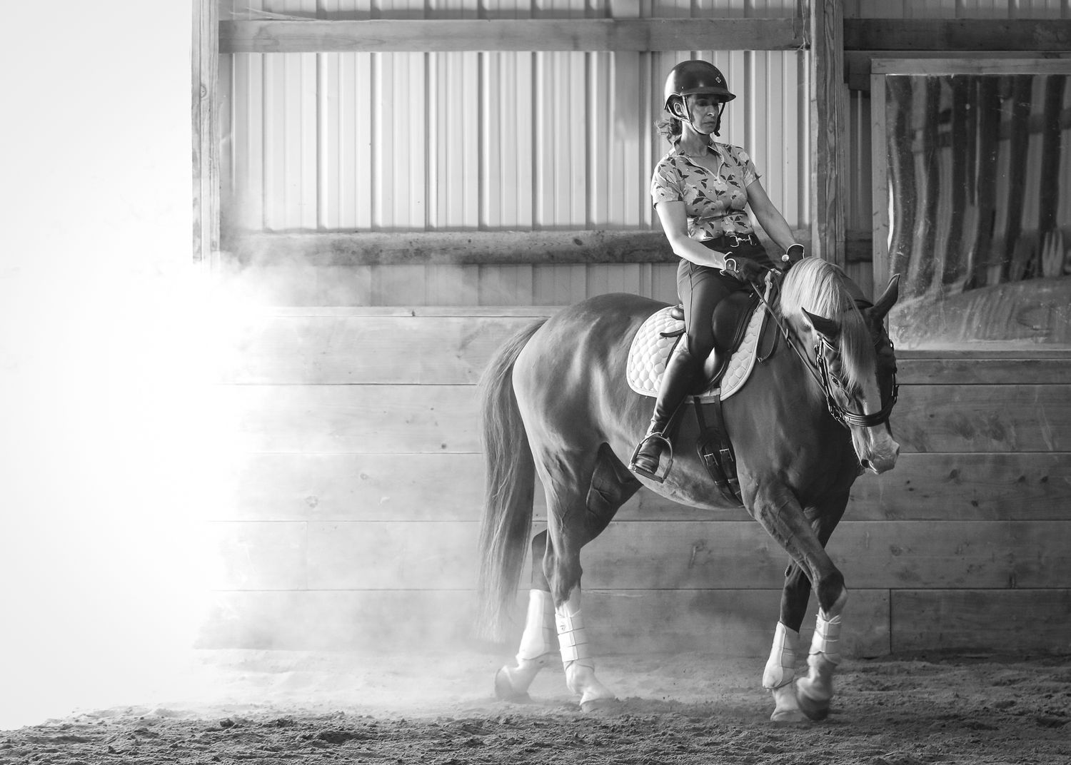 Black and white image showing a horse and rider paid with cool dust effect.