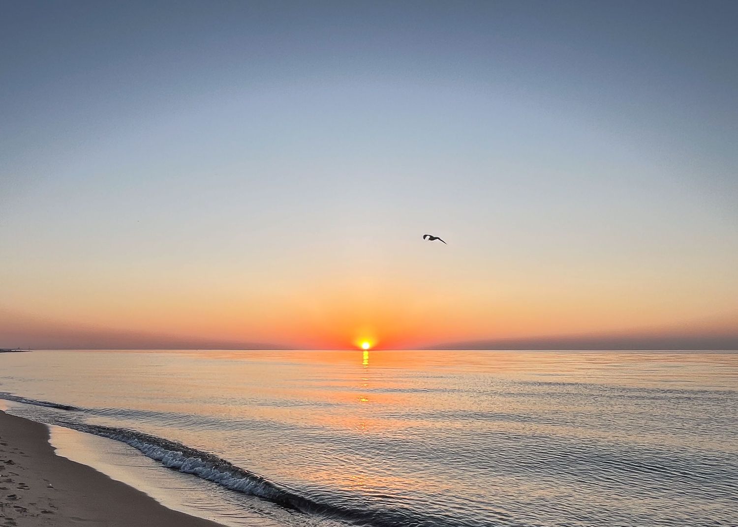 Sunset photo of Lake Michigan with a bird in flight.