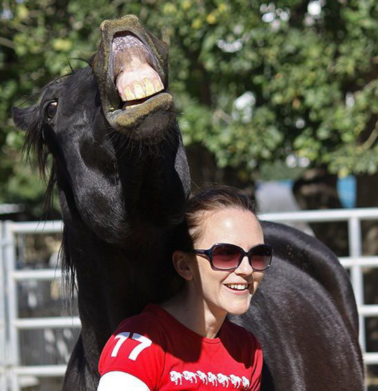 A young woman is standing near her bay gelding while he makes a silly face