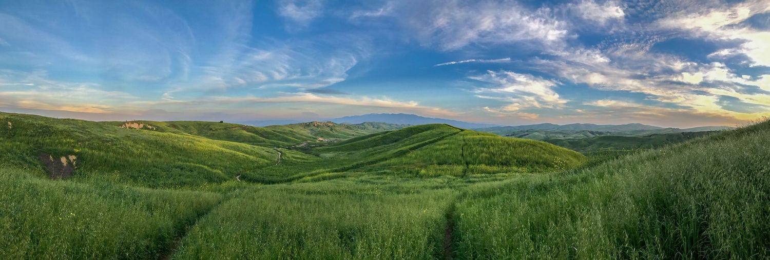A landscape panoramic photo of Chino Hills State Park at golden hour.