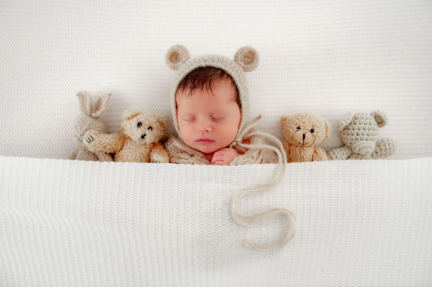 Wrapped sleeping newborn posed with stuffed animals during their newborn session in Fulshear.