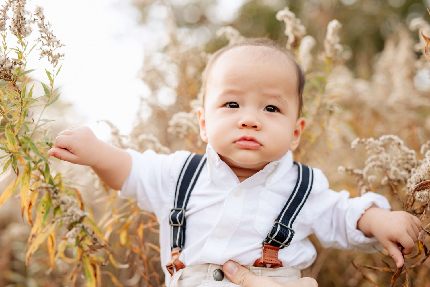 Grimsby Photographer. Lifestyle and Family photography in Ontario. Princess Point Hamilton