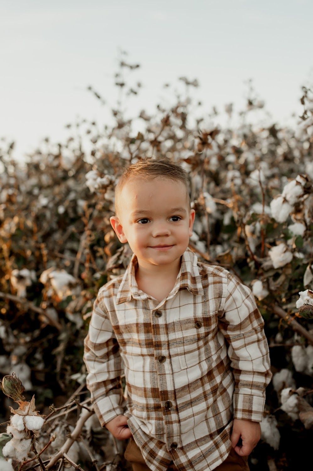 Young boy in plaid shirt smiling in a cotton field during golden hour.