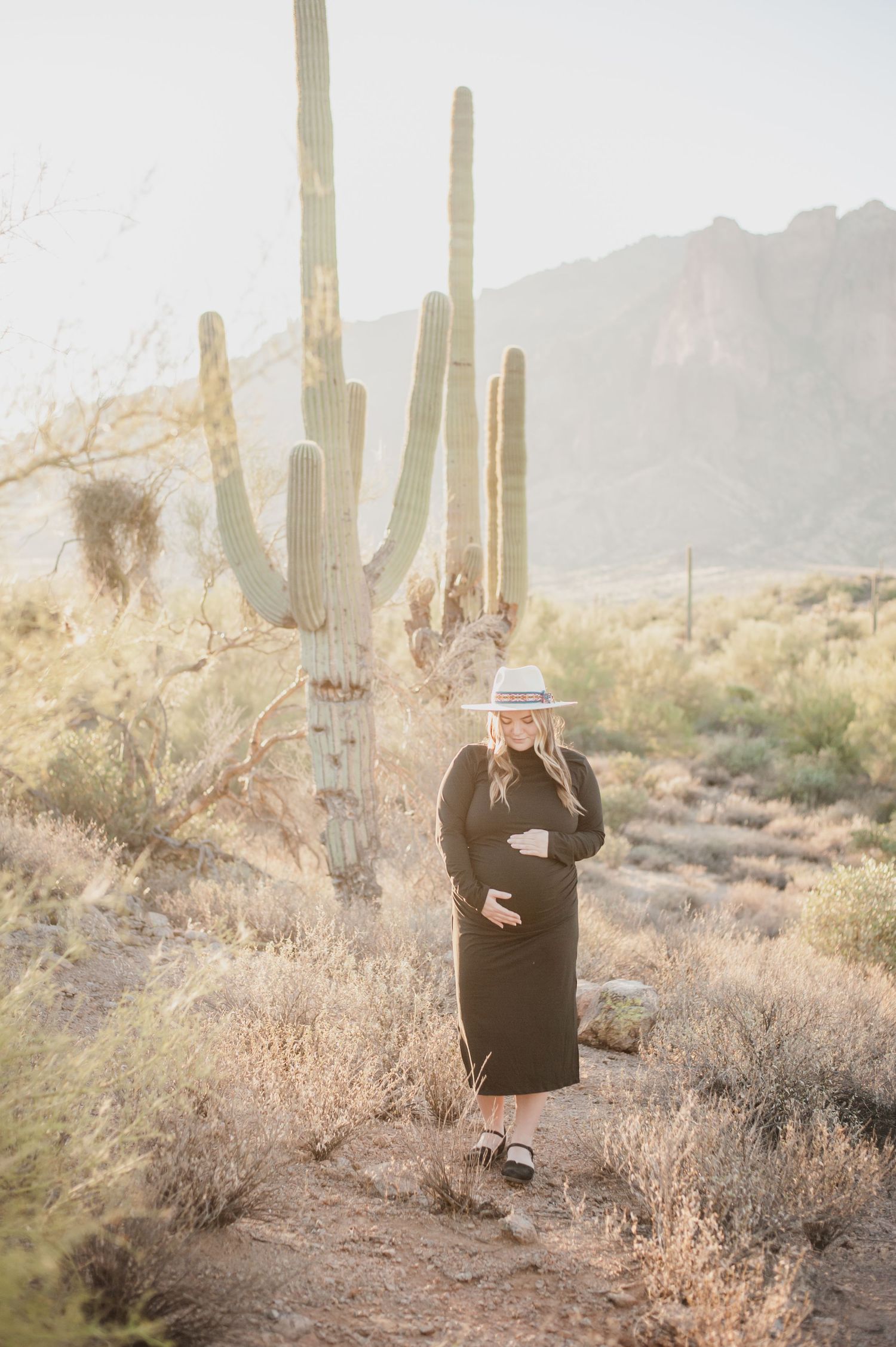 Desert landscape at sunset with tall saguaro cacti and mountains in the background.