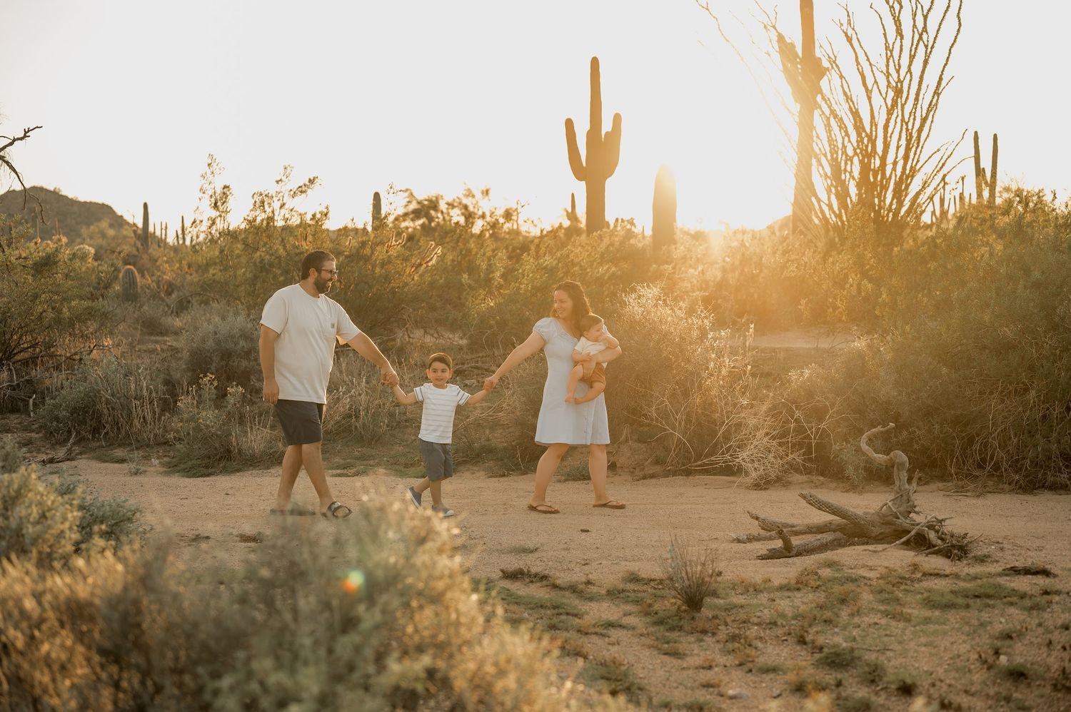 Family of four walks hand in hand through a sunlit Arizona desert with tall saguaro cacti during a golden hour portrait session.