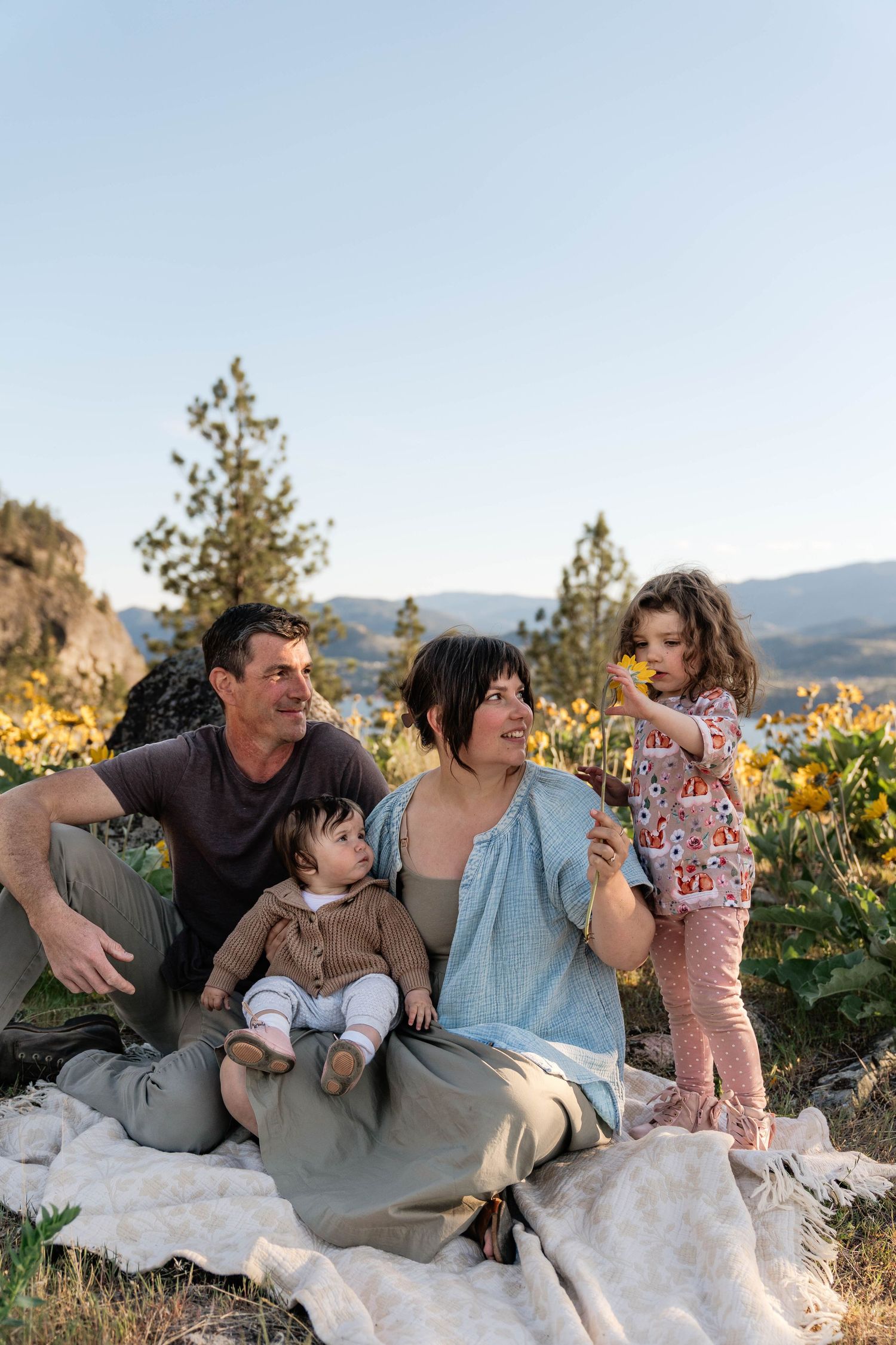 Happy family with two young children sitting on a blanket in a sunlit field of yellow wildflowers with mountains behind in Penticton