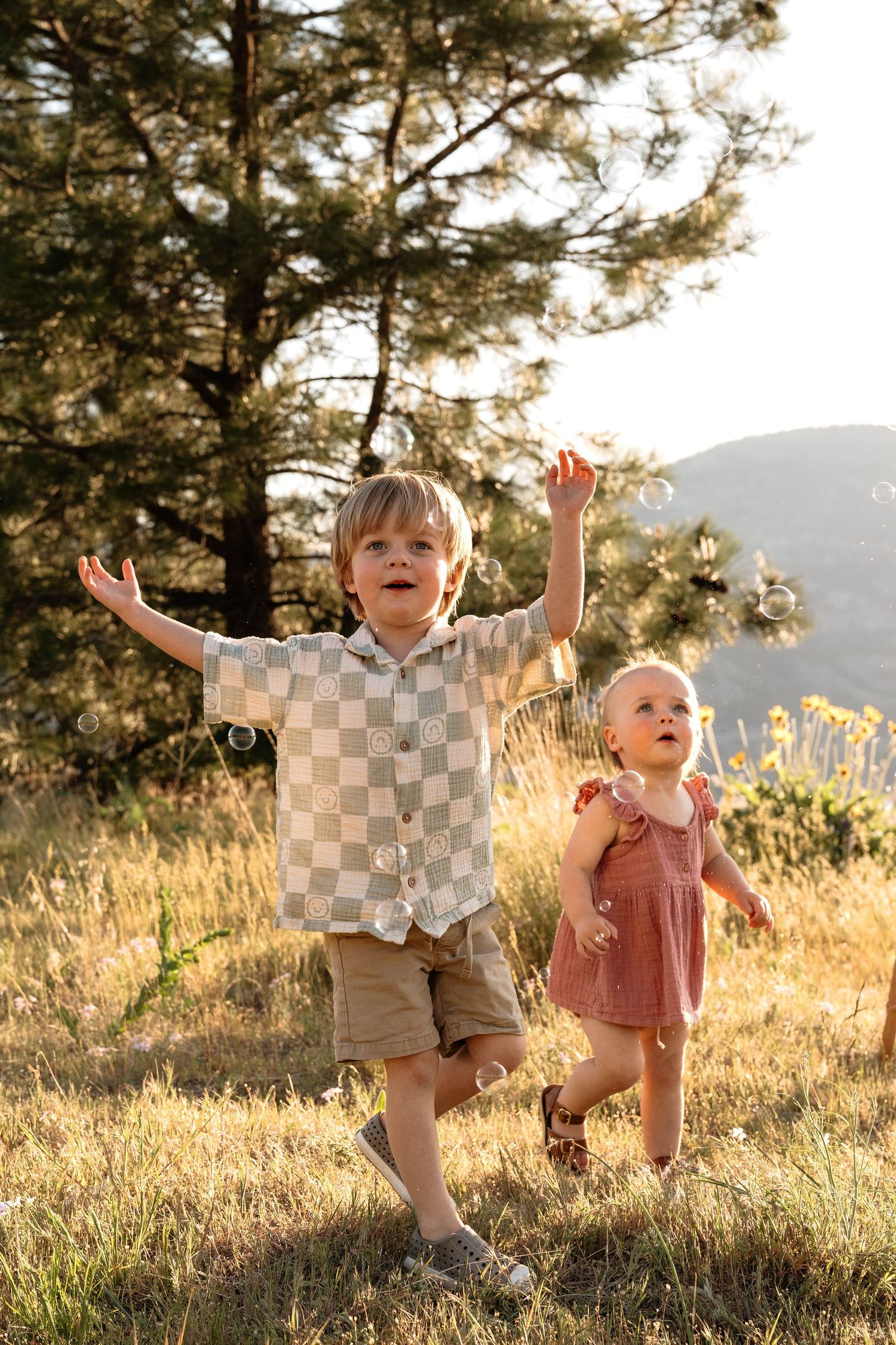 Two young children play in a sunlit meadow with pine trees and mountains visible in the background in Penticton