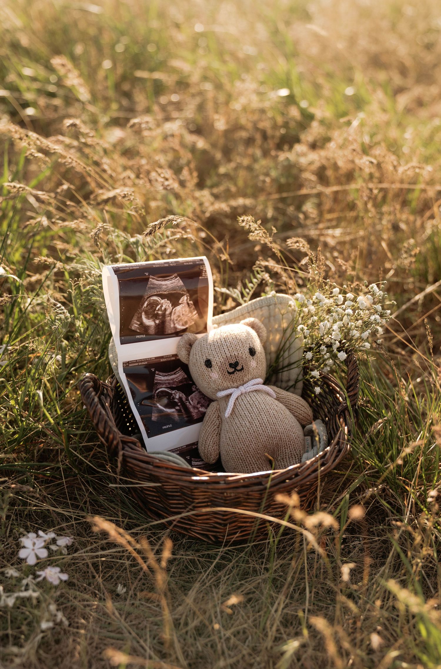 Wicker basket in a meadow holding ultrasound photos, a knitted teddy bear, and wildflowers in warm sunlight in Penticton