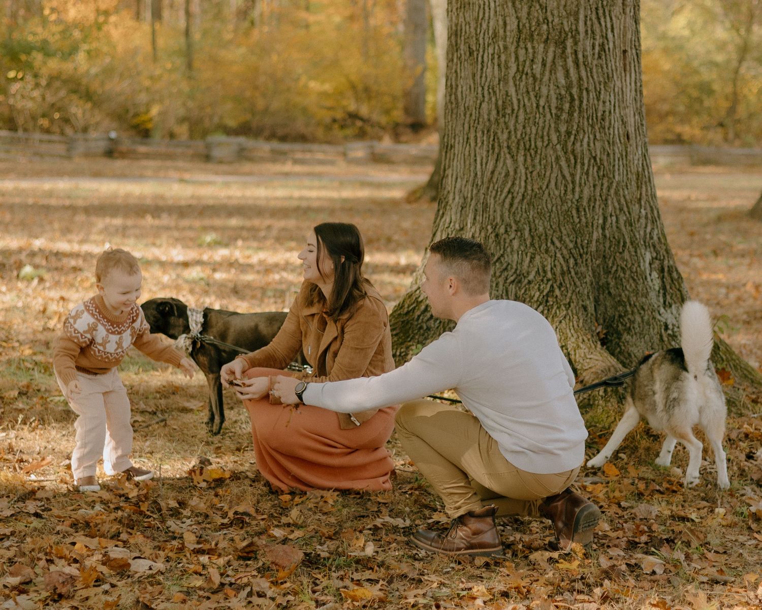 A sequence of people lounging against a tree trunk in autumn, with fallen leaves scattered on the ground.