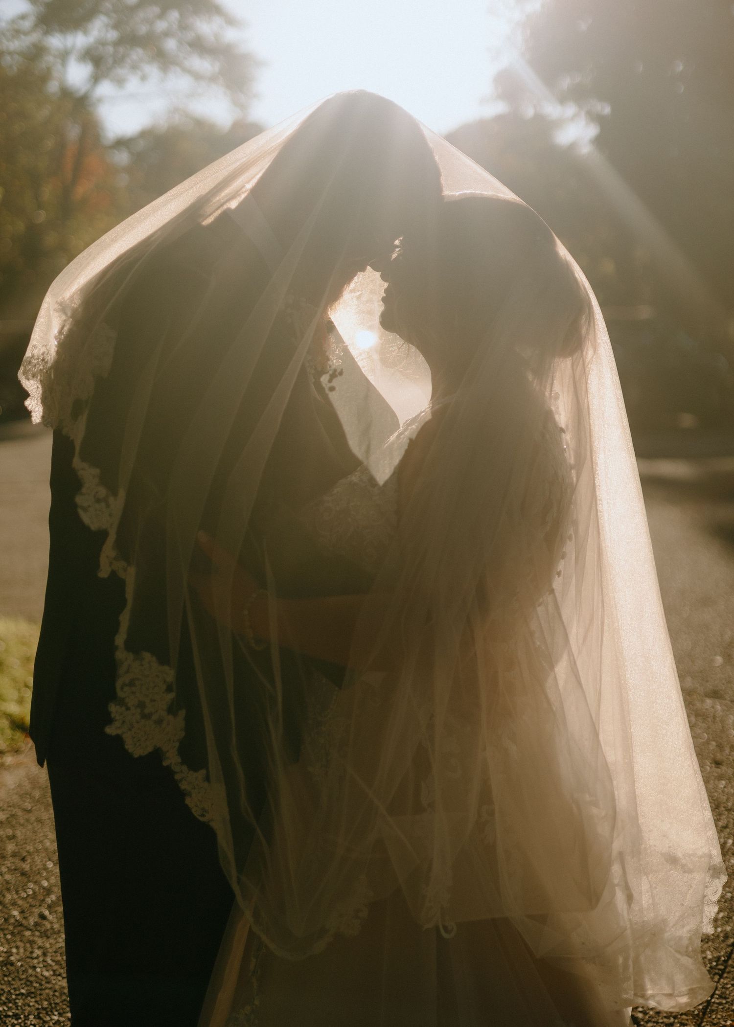 A romantic wedding photo showing a couple embracing under a flowing white veil in soft sunlight.