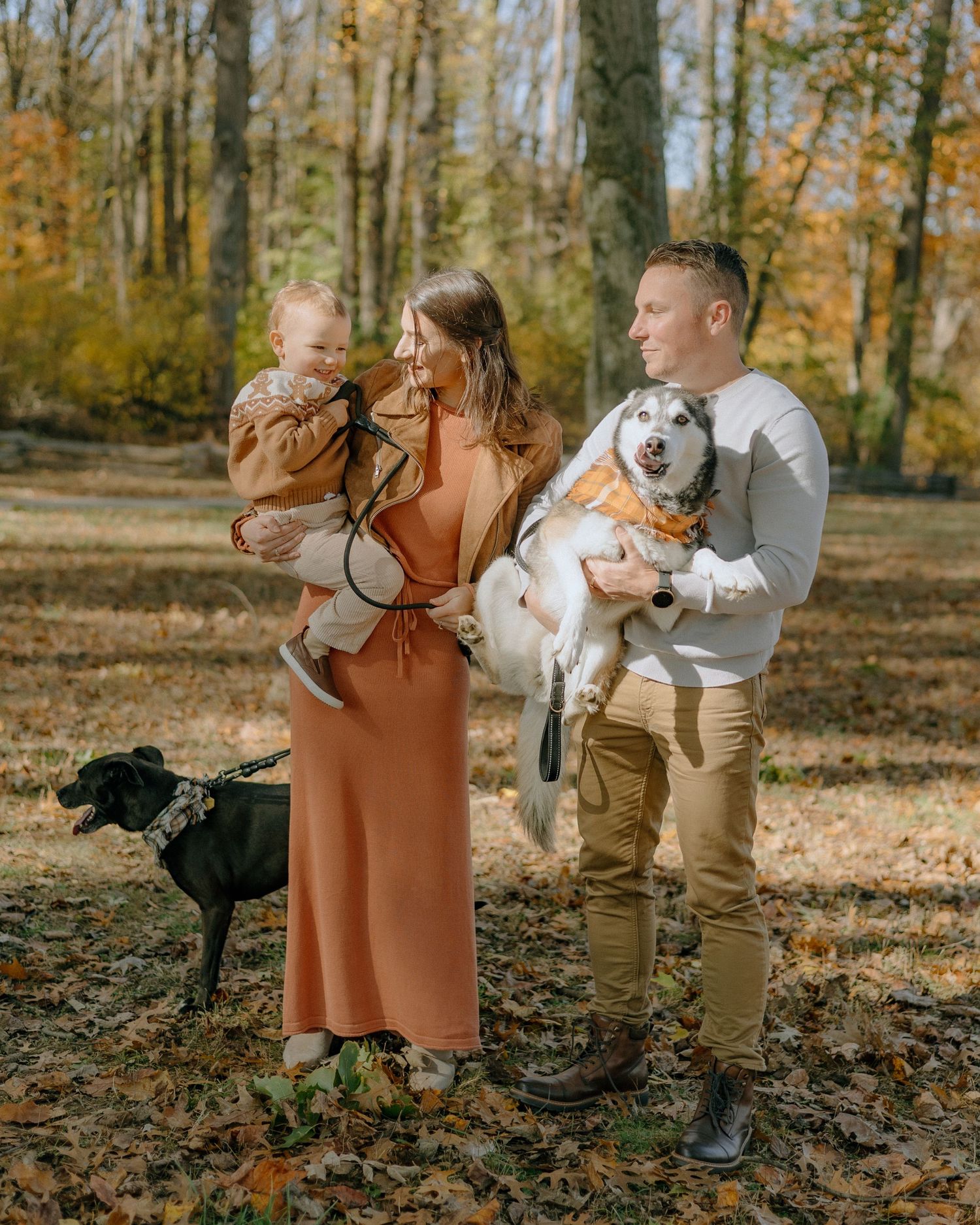 A couple shares a tender moment with their dogs in a sunlit autumn forest setting with fallen leaves on the ground.
