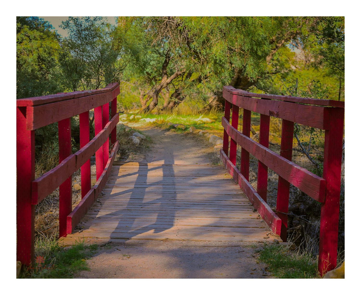 Red wooden footbridge crossing path under green leafy trees.