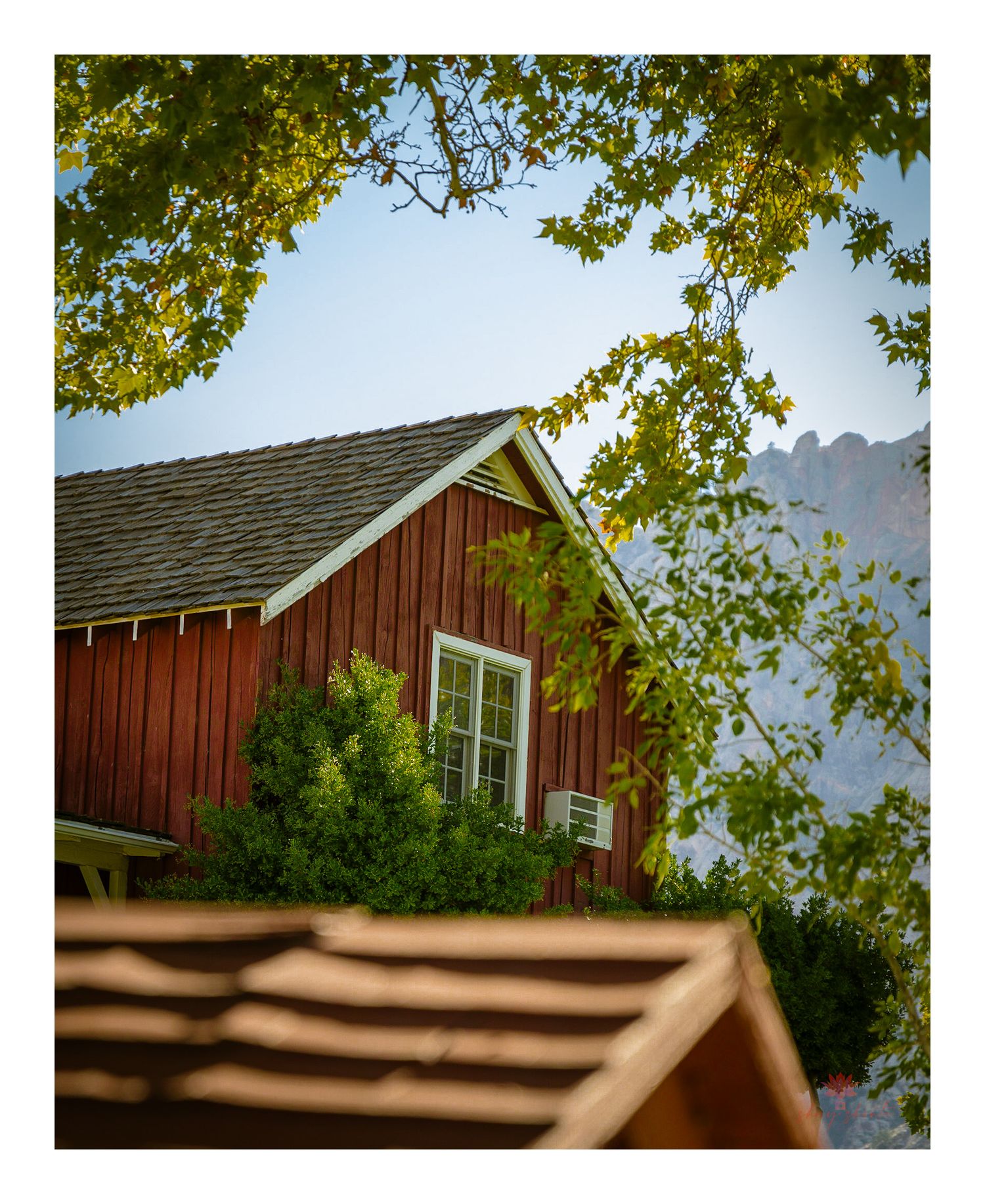 Red barn-style cabin with white trim framed by green tree branches against mountains.