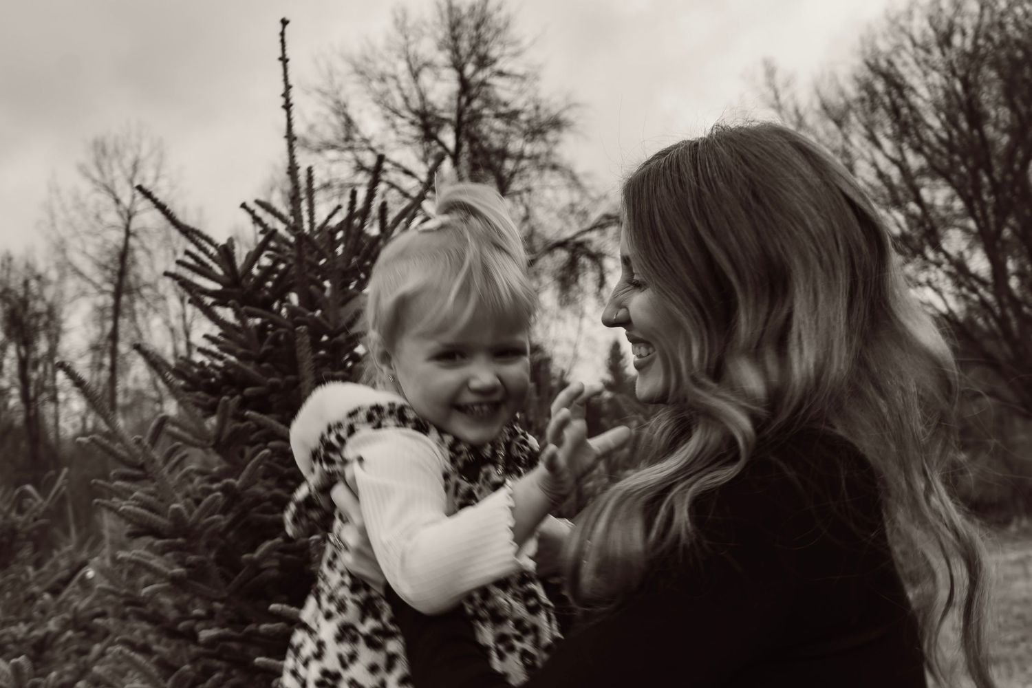 A dreamy monochrome sequence of wedding photos shows a couple embracing amid evergreen trees in a natural setting.