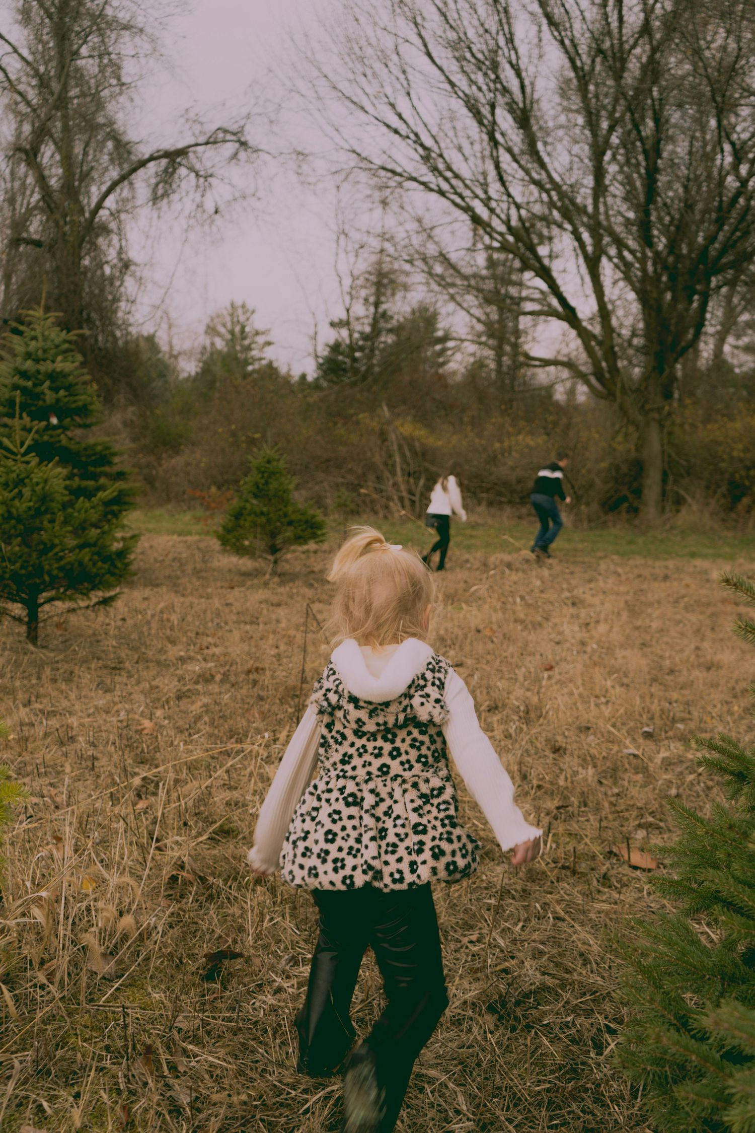 Three sequential shots show a person in a floral top and dark pants walking through a dried grass field near trees.