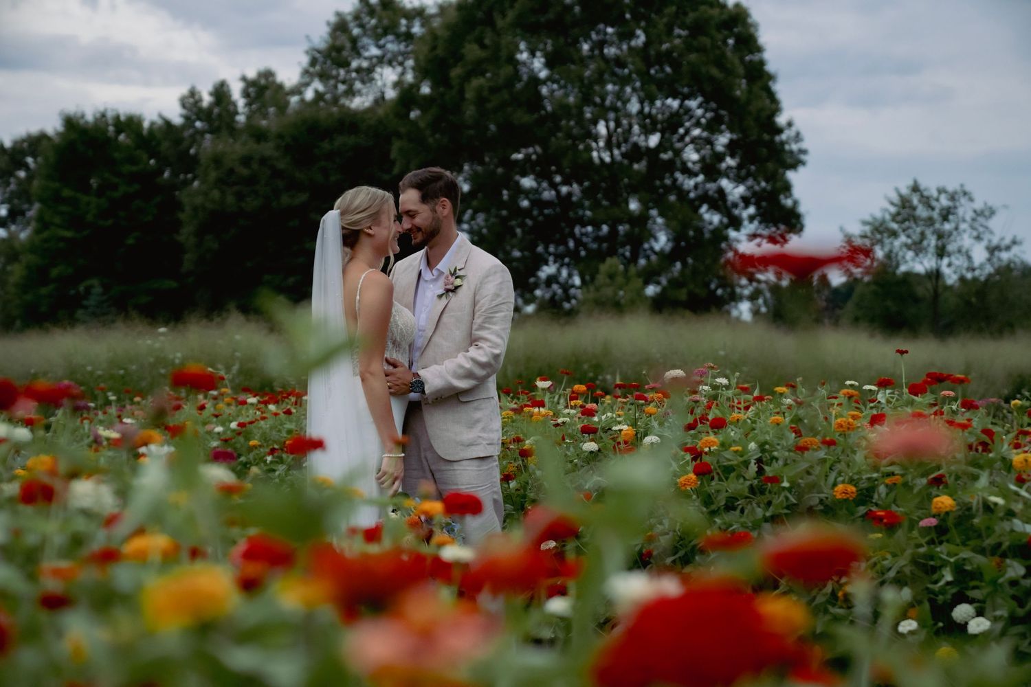 Couple embraces in a vibrant wildflower meadow filled with red and orange blooms during golden hour.