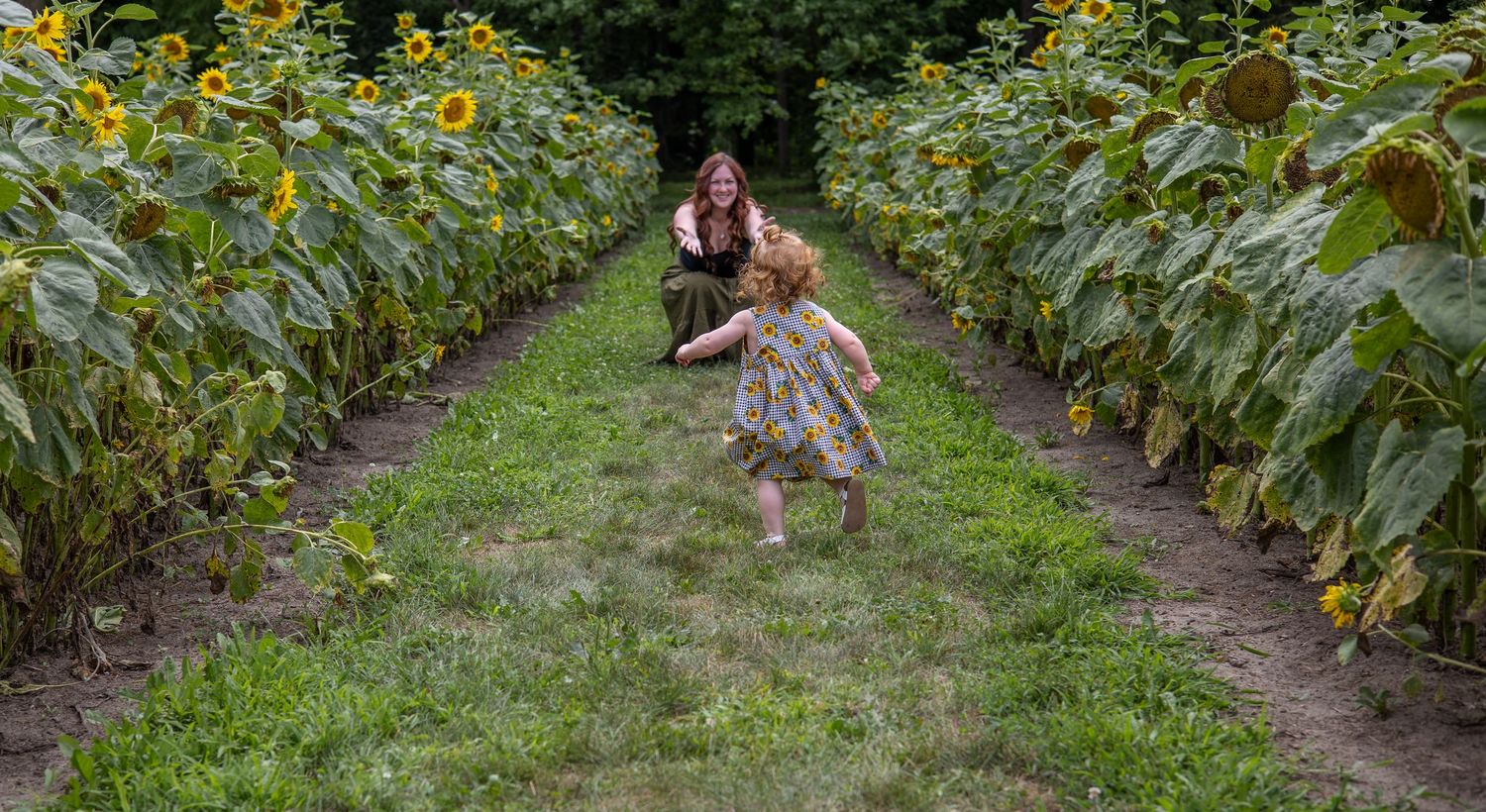 Woman and young girl running through sunflower field rows on a sunny day.