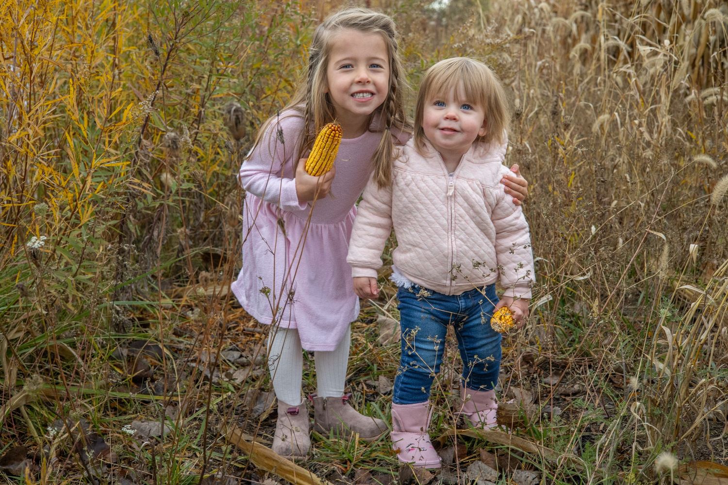 Children playing and walking through tall golden corn stalks in an autumn field during a sunny afternoon. During Family session