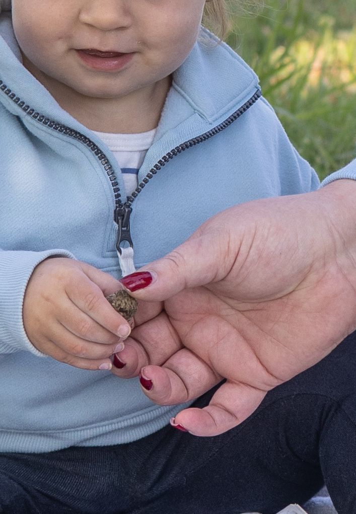 Close-up of hands sharing small object outdoors.