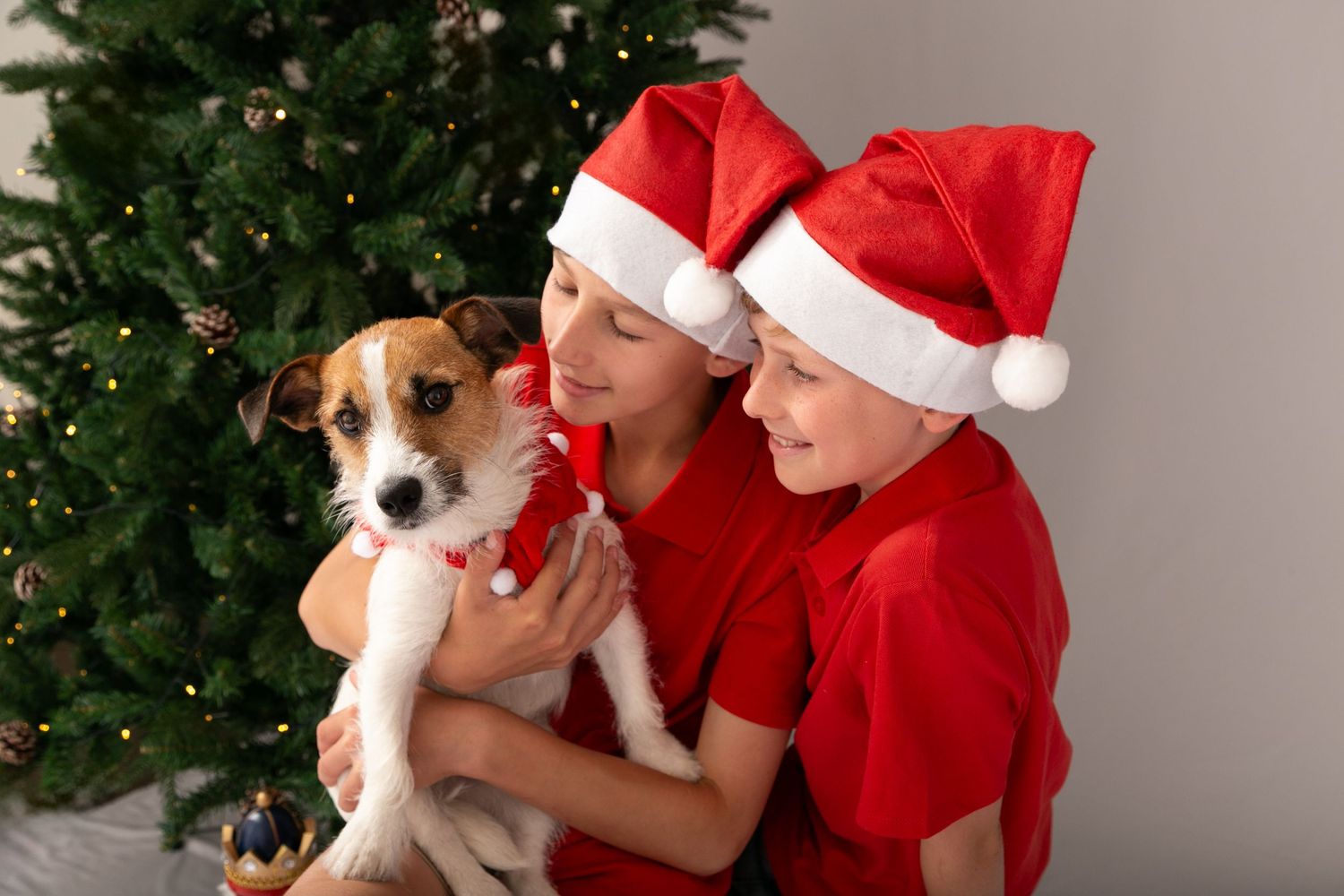 Two people in red Santa hats hold a Jack Russell terrier puppy in front of a decorated Christmas tree.