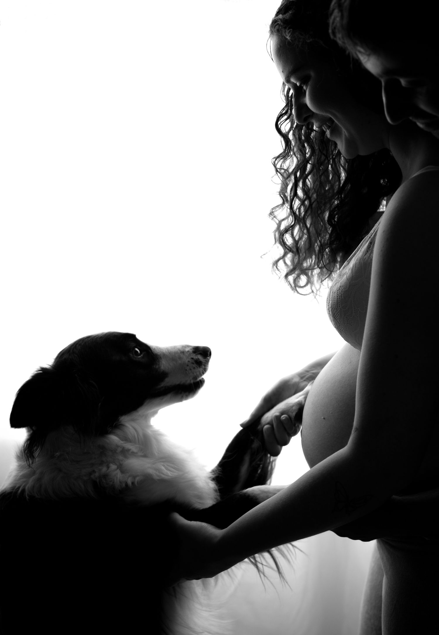 Black and white silhouette of a pregnant woman with curly hair and a dog looking up at her in tender moment.