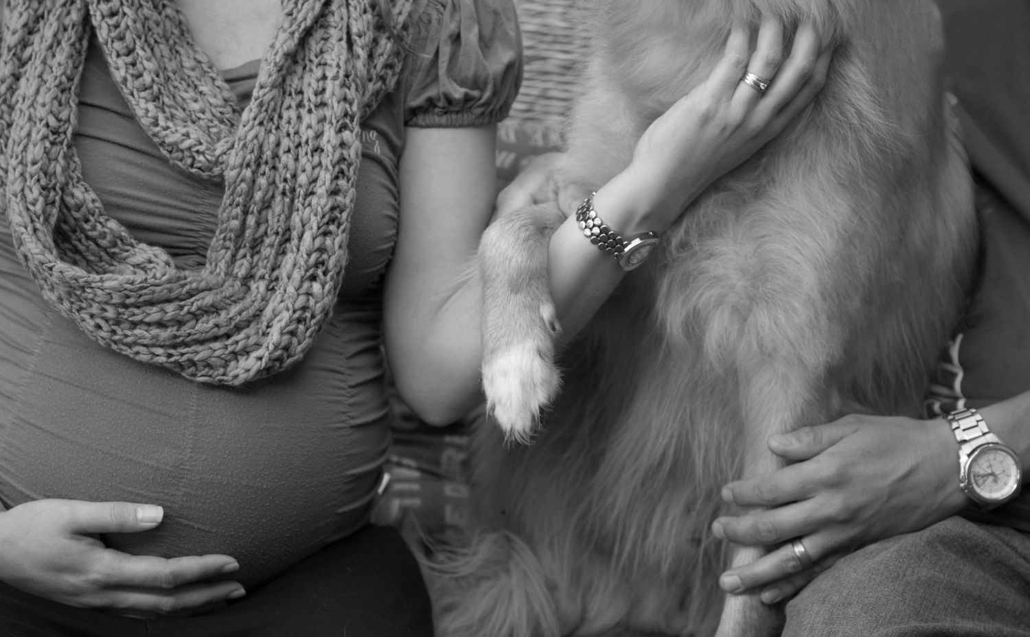 Black and white detail shots of hands holding a baby bump and petting a dog at Gabriella Aranky Photography studio, Auckland.