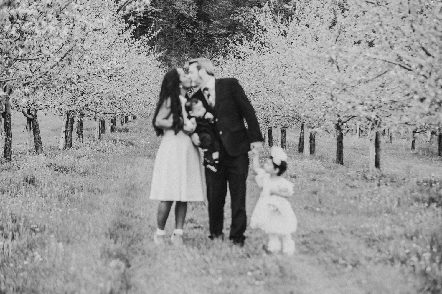 Séquence de photographies de mariage en noir et blanc montrant un couple se promenant dans un verger d'arbres en fleurs au printemps.