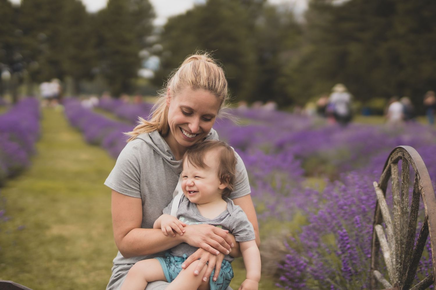 Un tendre moment partagé entre un parent et son enfant dans un champ de lavande en fleurs, par une journée d'été.