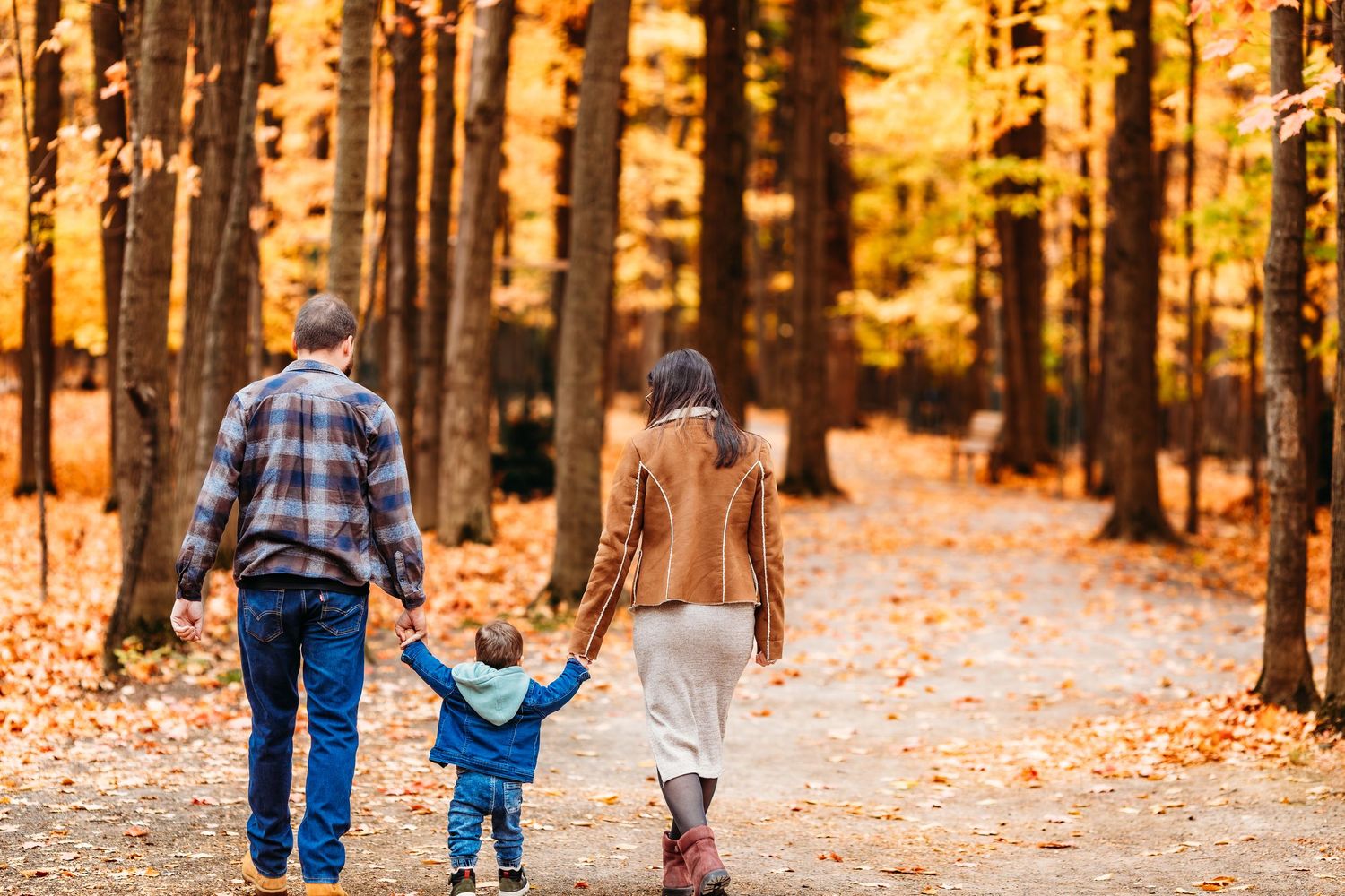 Une famille se promène ensemble dans une forêt d'automne, la lumière dorée du soleil filtrant à travers les arbres, près de Montréal.