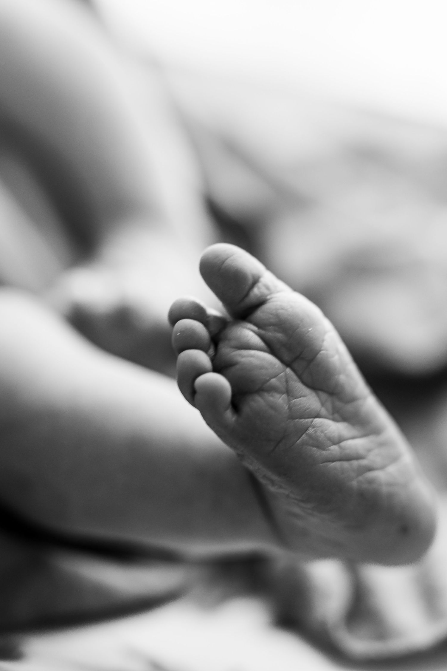 Close-up black and white photo of a newborn baby's tiny foot with delicate toes and soft skin texture.