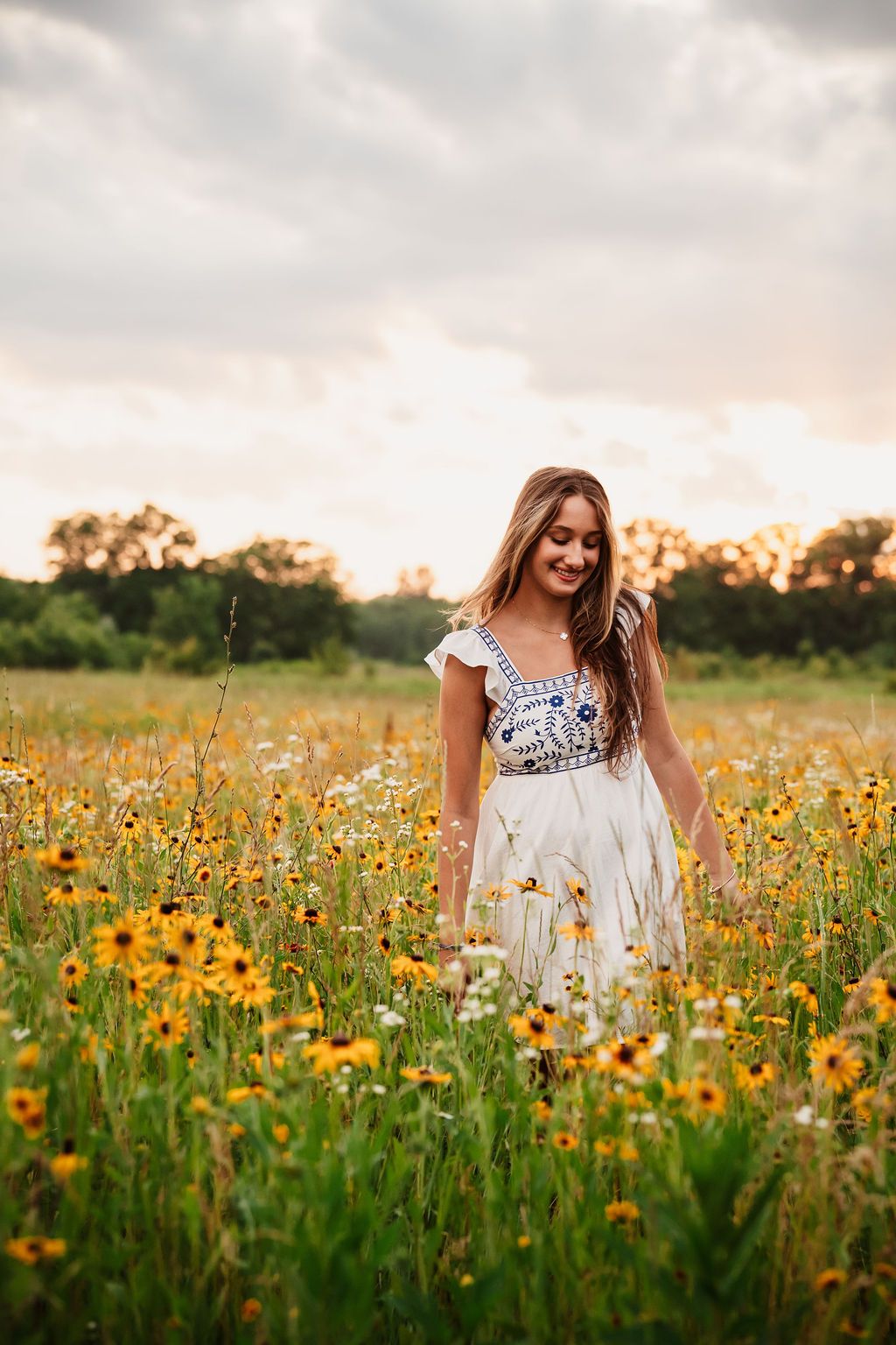 A dreamy panoramic view of a wildflower meadow filled with yellow flowers during golden hour sunset.