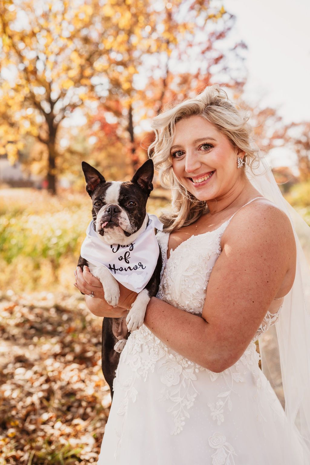 Boston Terrier wearing a white bow tie poses with bride in autumn wedding photos.