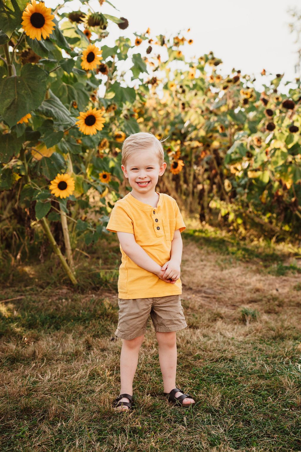 Smiling young boy in yellow shirt and khaki shorts standing in front of blooming sunflower field on sunny day.
