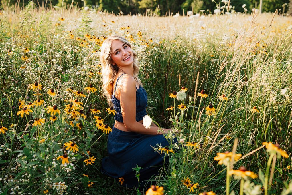 A series of golden wildflowers bloom in a sunlit meadow during a summer afternoon.