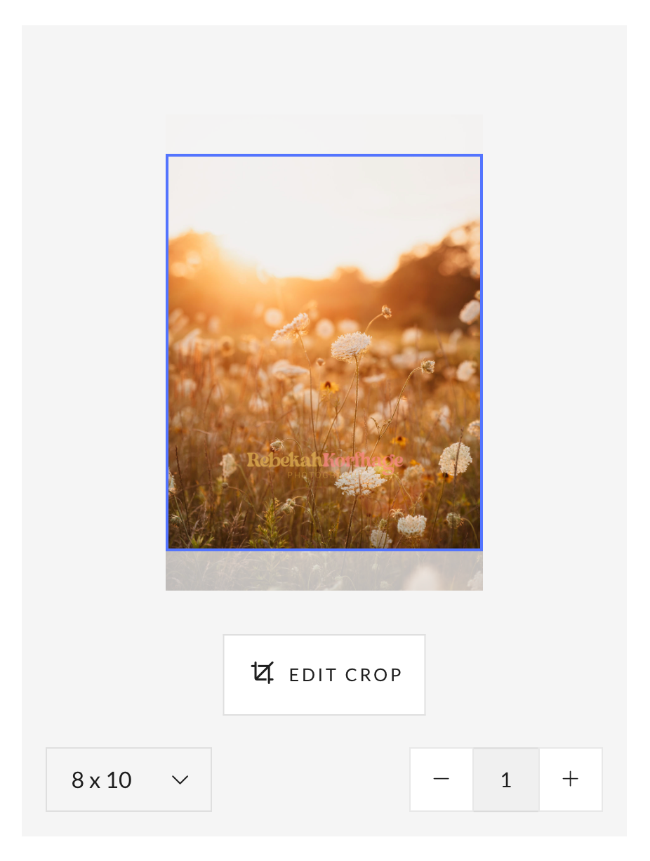 Golden sunset light glows over a meadow of white wildflowers in a print editor showing an 8x10 crop with edit crop and quantity options.
