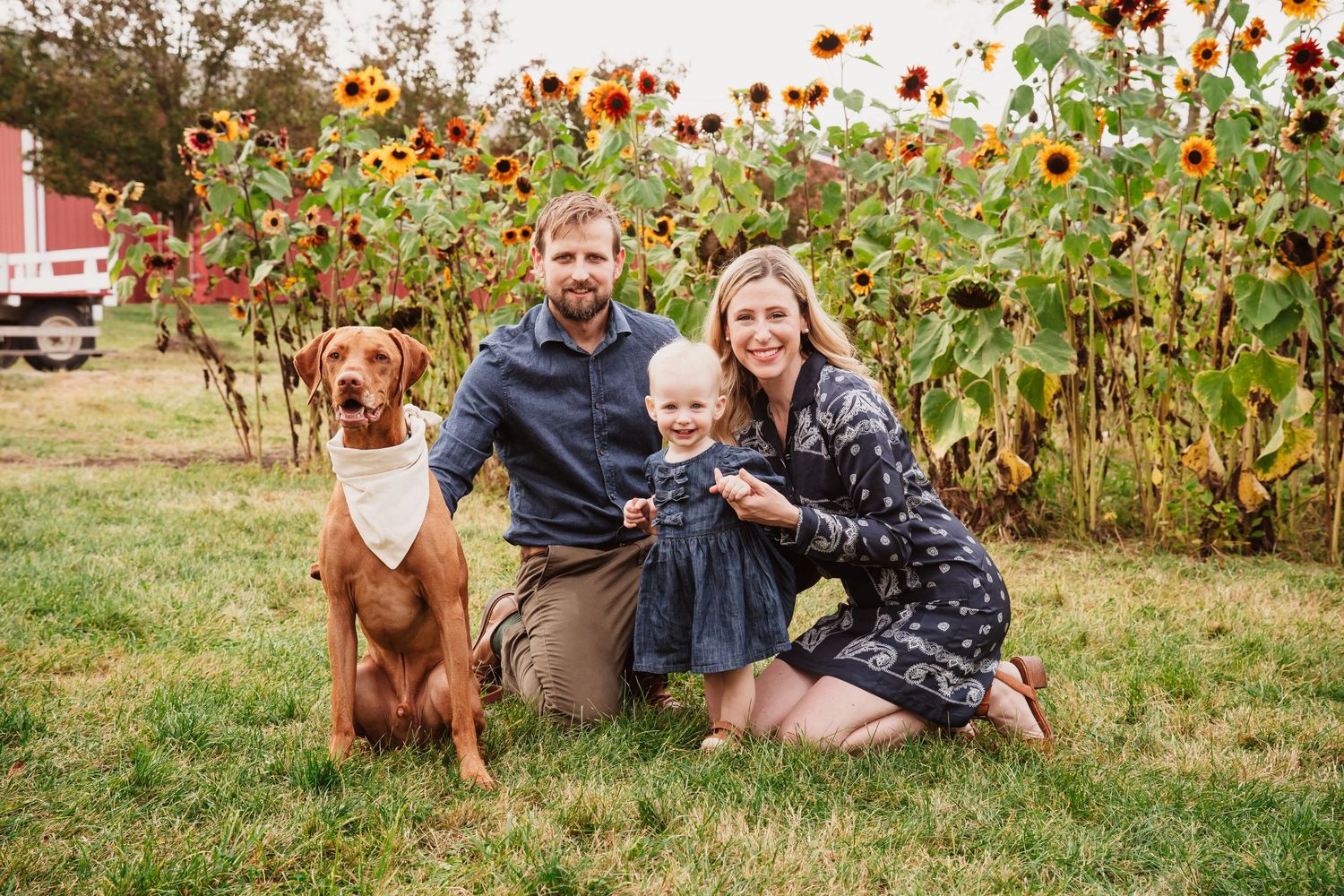 Colorful autumn family photos taken in a garden with bright orange sunflowers in the background.