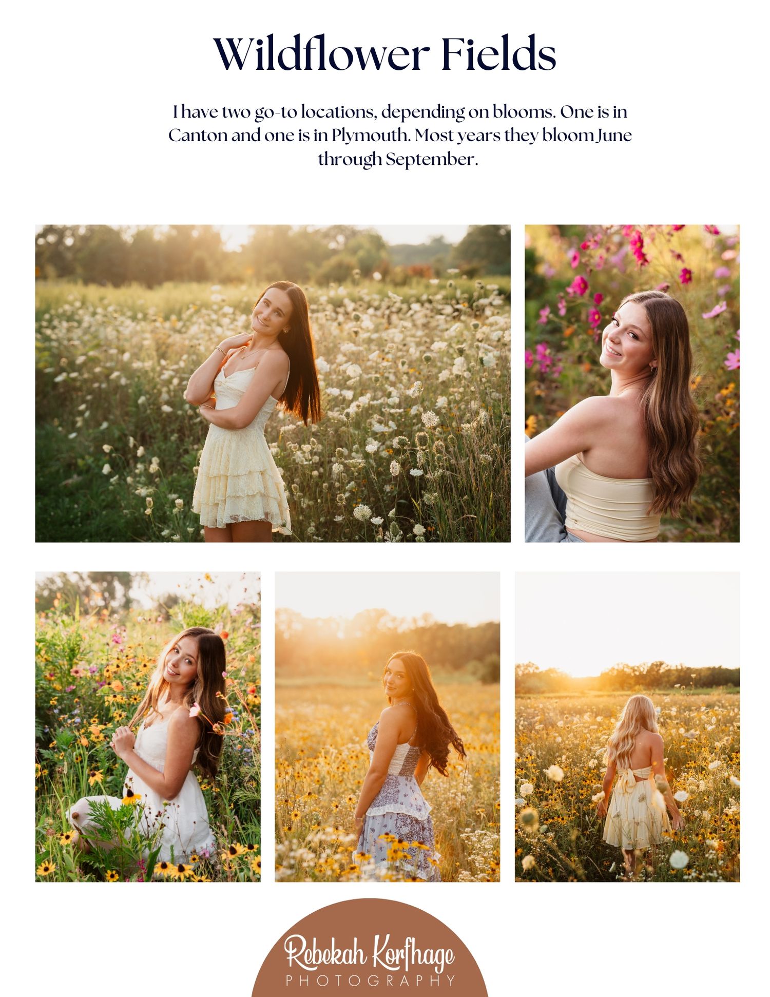A dreamy sunset photoshoot in a wildflower meadow with golden light streaming through white daisies and tall grass.
