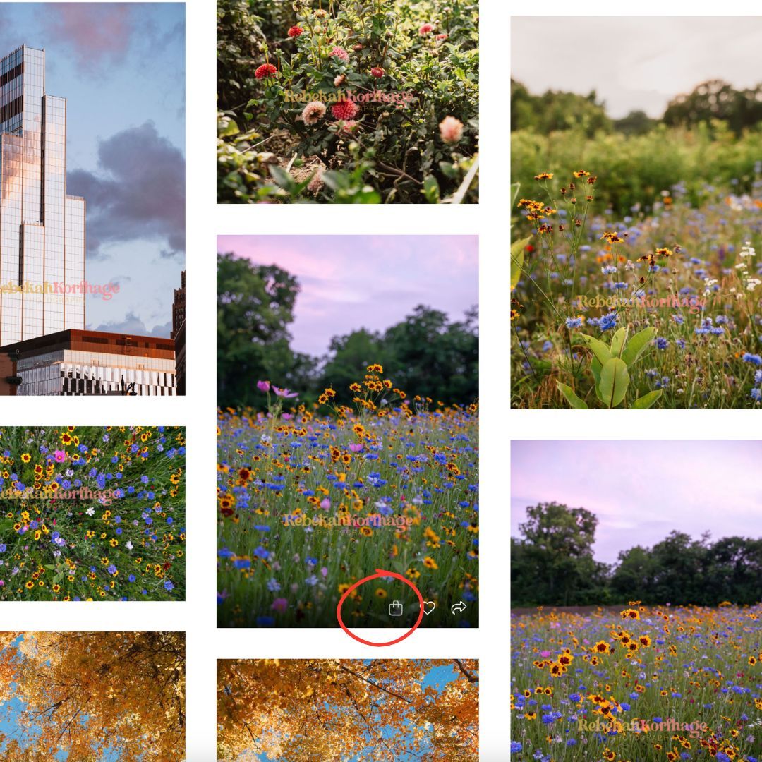 Collage of wildflower meadows at golden hour with colorful blooms, a glass skyscraper at sunset, and autumn foliage against blue sky.