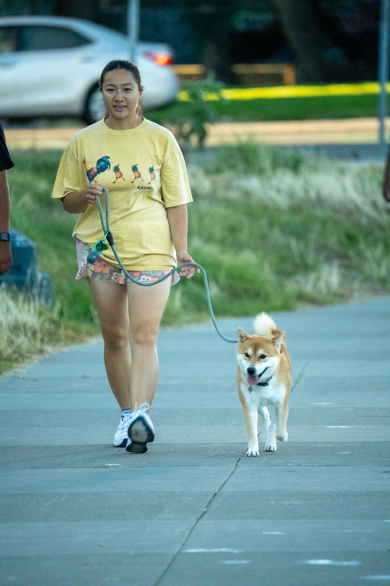 A Shiba Inu dog on a leash walking along a paved path in a park.