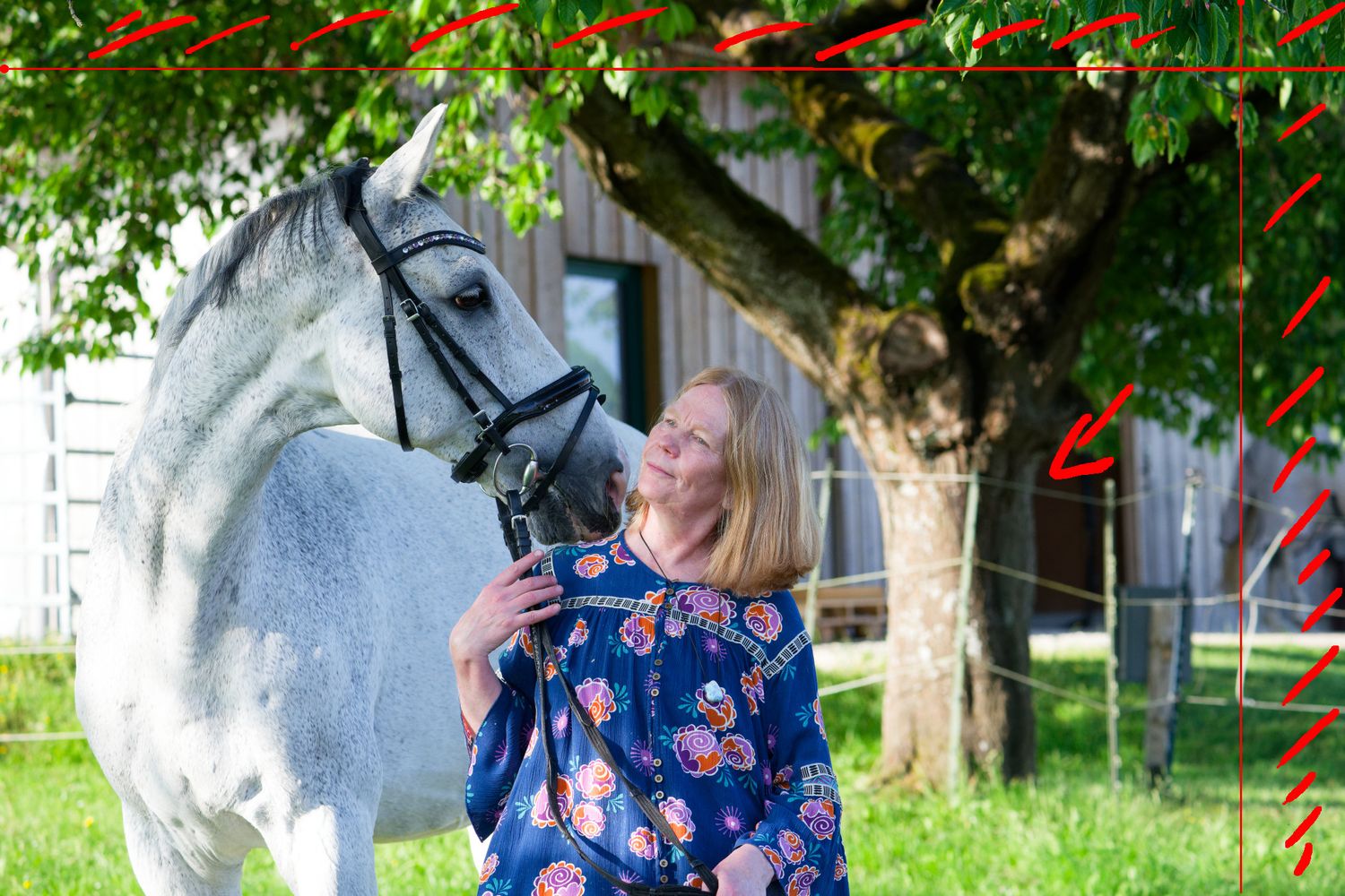 Originalfoto Pferdeportrait & Besitzerin mit Hinweisen zur Retusche - Lichtkapsel Engelhardsberg