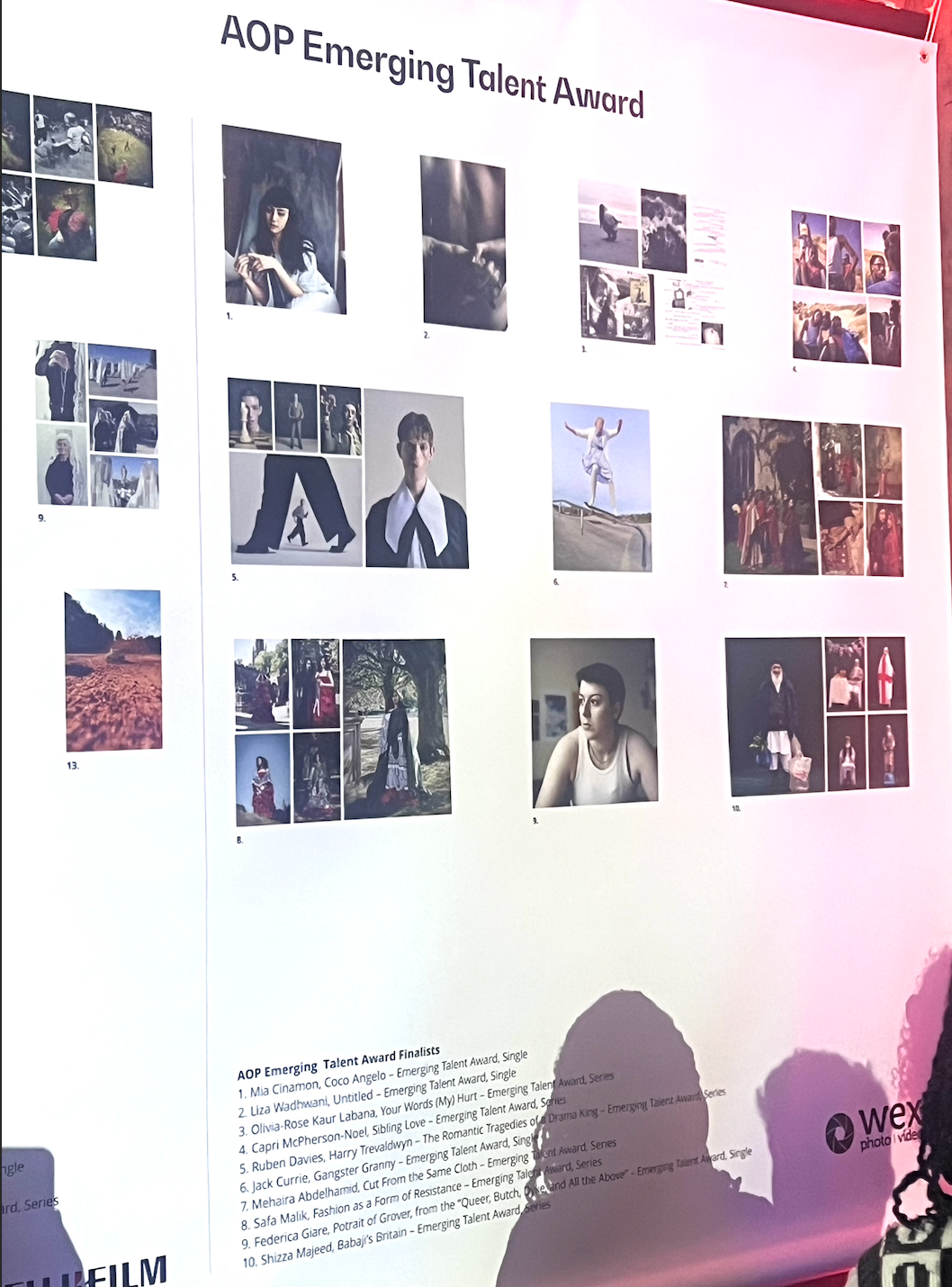 A wall display showing a collection of black and white and color photographs arranged in a grid layout with text below.
