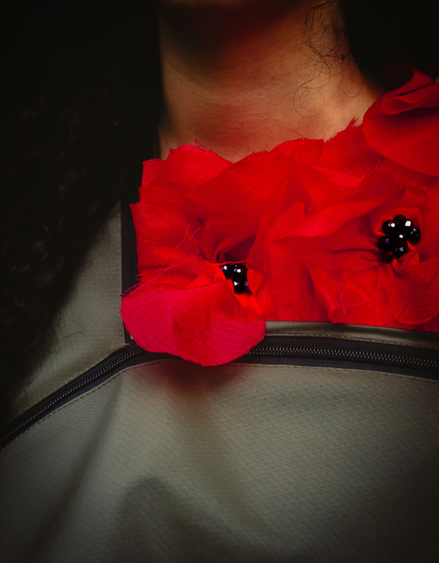 A progression of vibrant red poppies blooming in soft focus against a dark background.
